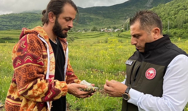 "Süper meyve" olarak tanınan aronya bitkisi toprakla buluşturuldu