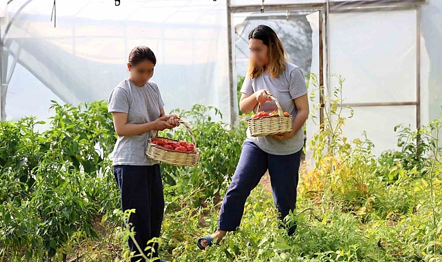 Tarımsal faaliyetlerle uğraşmak ruh hastalığına iyi geliyor