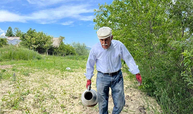Tarlada çalışıp çapa yapan 80 yaşındaki amca gençlere taş çıkartıyor