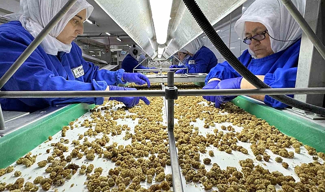 Türkiye'nin Geleneksel İhracatçı Sektörlerinden Kuru Meyve İhracatı 829 Milyon Dolara Yükseldi