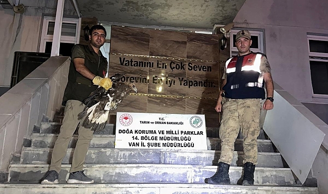 Van'da Kaya Kartalı tedavi altına alındı