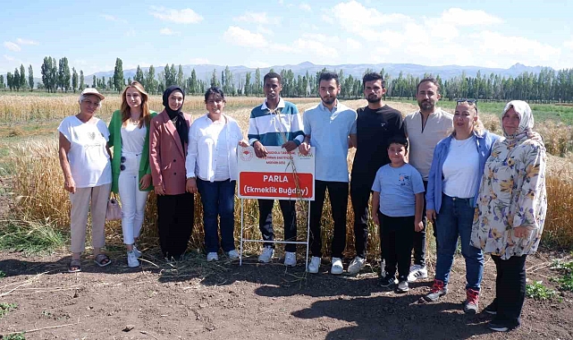 Yeni bir ekmeklik buğday, tüm testlerden geçti ve yüksek verim alınarak yarınlar adına umut saçtı