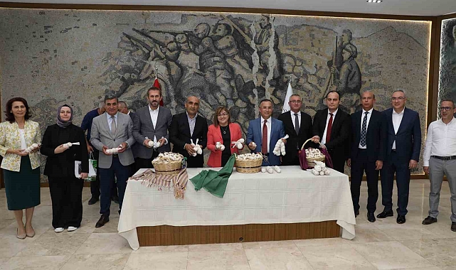 Araban sarımsağı için işleme ve paketleme tesisi kuruluyor