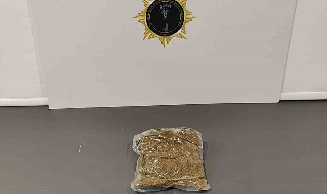 Aracında uyuşturucu ele geçen şahıs gözaltına alındı