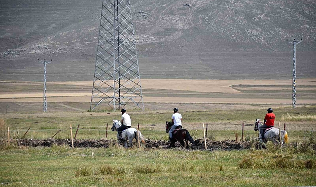 Ardahan'da Rahvan Atları Yarışları'nda final heyecanı