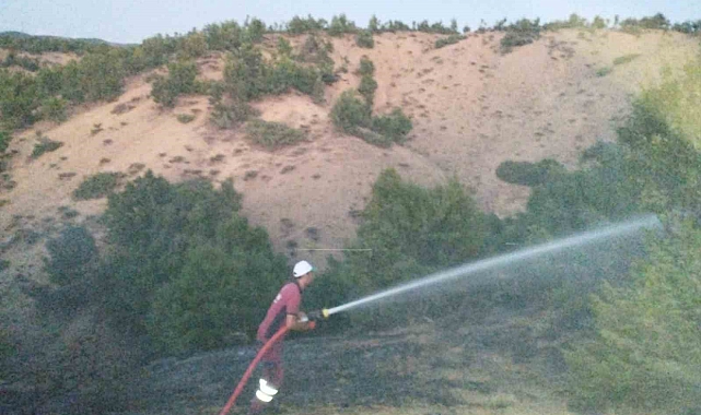 Bingöl'de orman yangını büyümeden söndürüldü