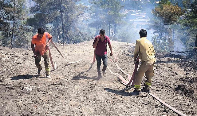 Bolu'daki yangın 72 saatin ardından kontrol altına alındı