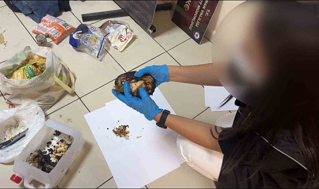 Bonzai uyuşturucu madde sevkiyatı yapan şahıs suçüstü yakalandı