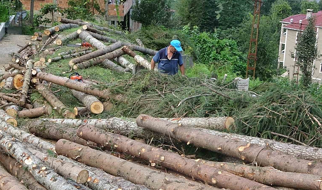 Camiyi kurtarmak için çevresindeki ağaçlara kıydılar