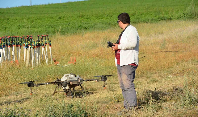 Çiftçiler tasarruf etmek için ekili arazilerini dronla ilaçlıyor