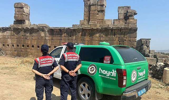 Çine'de doğal yaşam alanları kontrol edildi