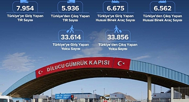 Dilucu Gümrük Kapısı 2024 yılı Temmuz ayı istatistikleri açıklandı