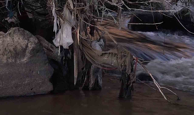Doğa fotoğrafçılığı yapan Ferzende Coşar, Deliçay'da çöp topladı