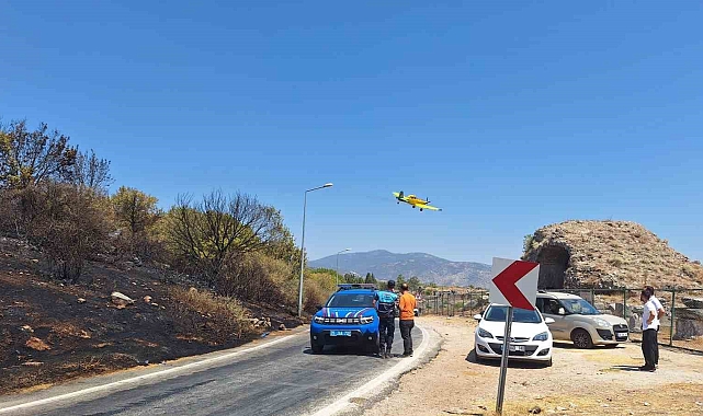 Efes'te korkutan yangın