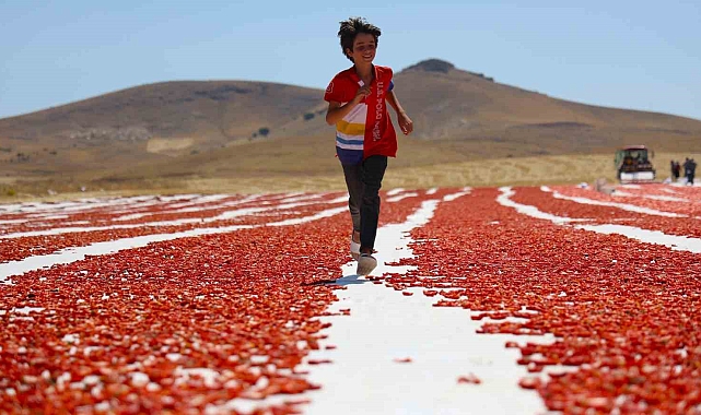 Elazığ'dan dünyaya açılıyor