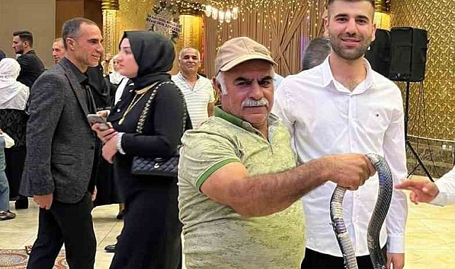 Gelin ve damada 'yılan şovu' sürprizi