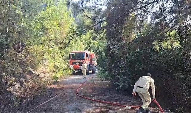 Hatay'da çıkan orman yangını kontrol altına alındı