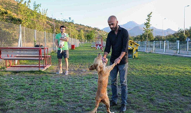 Hayvanlara özel patiyol, keyifli bir ortamda özgürce yürüyüş yapmalarına imkân sağlıyor