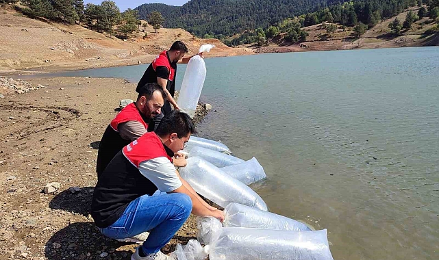Kapıdağ'da bulunan gölete 50 bin sazan balığı salındı