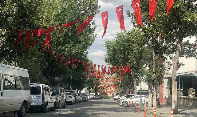 Kars'ta Zafer Bayramı öncesinde caddeler bayraklarla donatıldı