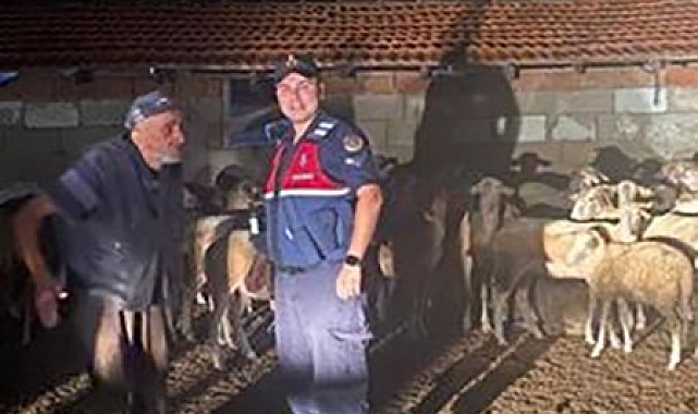 Kaybolan 20 koyun jandarma ekipleri tarafından bulundu