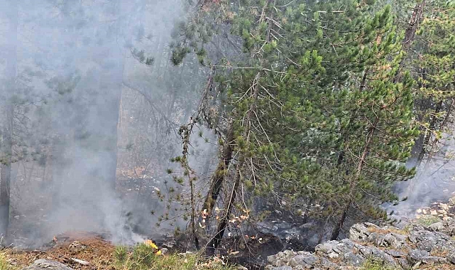 Kazdağları'nda yangına havadan müdahale sürüyor