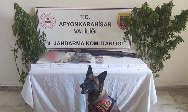 Kenevir eken şahısa jandarmadan operasyon