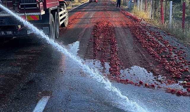 Manisa'da yola saçılan domatesleri İzmir'deki yangını söndüren itfaiye erleri temizledi
