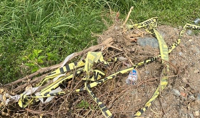 Mısır tarlasına atılan bebekle ilgili gözaltına alının 4 kişiden 1'i tutuklandı