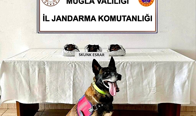 Muğla'da uyuşturucu operasyonu