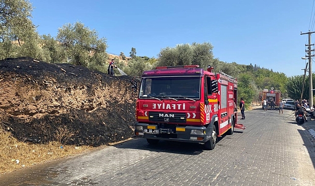 Otluk alanda çıkan yangının alevlerin antik kente ulaşması önlendi