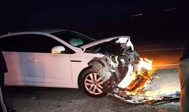 Otomobilin koyun sürüsüne çarpması sonucu 21 koyun telef oldu