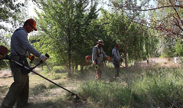Park ve Bahçeler Müdürlüğü ekipleri şehir genelinde bakım çalışmalarına devam ediyor