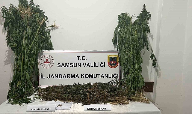 Samsun'da jandarma tarafından 6 kilo 550 gram esrar ele geçirildi