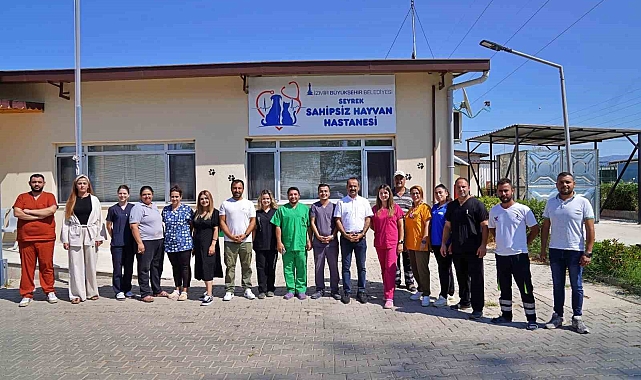 Sokak hayvanları bu hastanede şifa buluyor