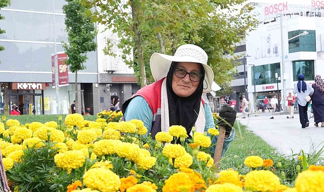 Sonbahar renkleri toprakla buluşuyor