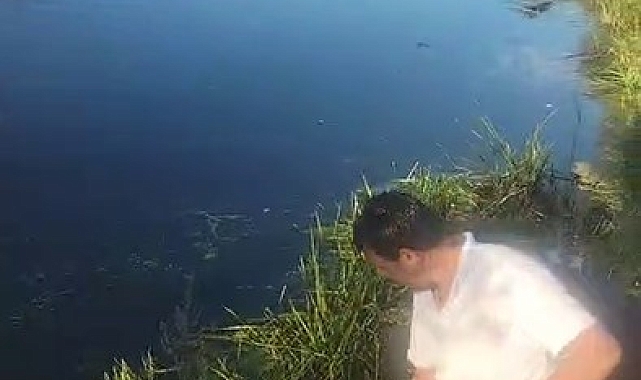 Su kenarındaki bataklığa saplanan inekler tek tek kurtarıldı