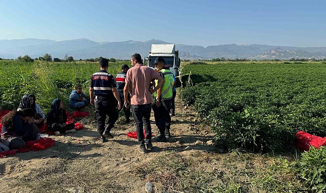 Tarlada uyurken üzerinden kamyon geçen çocuk hayatını kaybetti