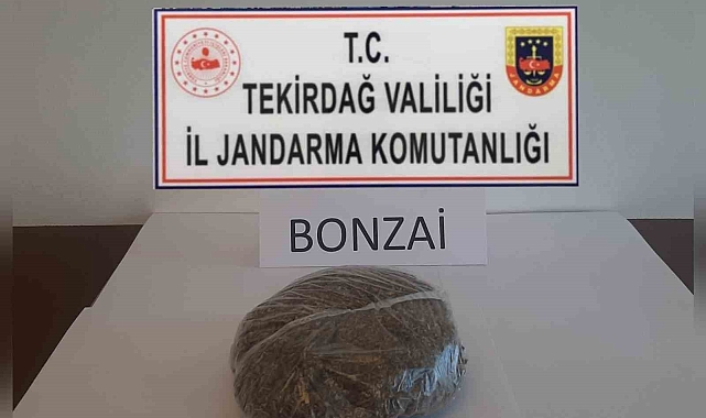 Tekirdağ'da 3 şüpheli yakalanarak bonzai ele geçirildi