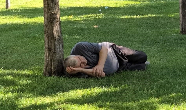 Termometreler 42 dereceyi gösterdi
