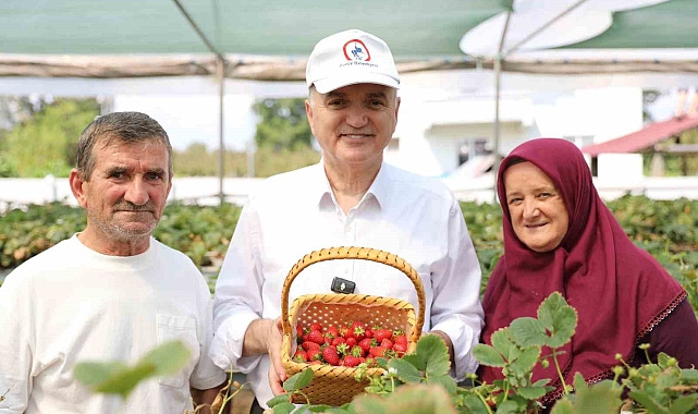 Topraksız tarım ile çilek üretiyor
