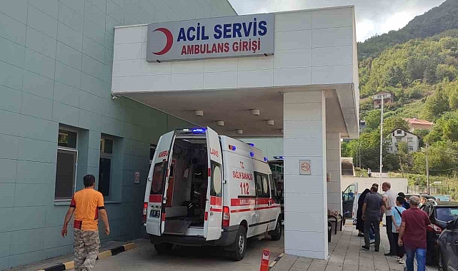 Ağaç kesimi yaparken motorlu testerenin sekmesi dede ile torunu hastanelik etti