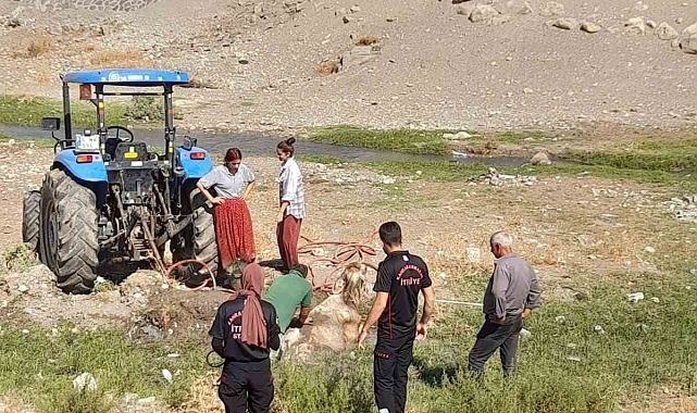 Bataklığa saplanan büyükbaşı itfaiye kurtardı