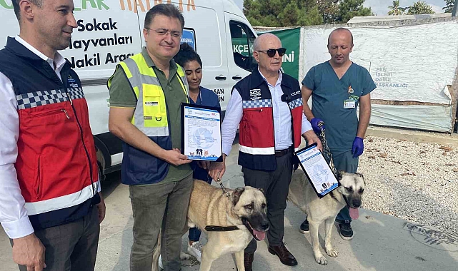 Belediye barınaklarındaki sahipsiz sokak köpekler ilçede faaliyet gösteren işyerleri tarafından sahiplenildi