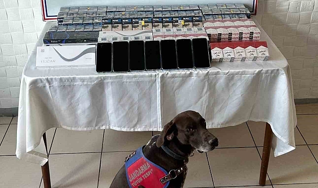 Binlerce paket kaçak sigara ele geçirildi