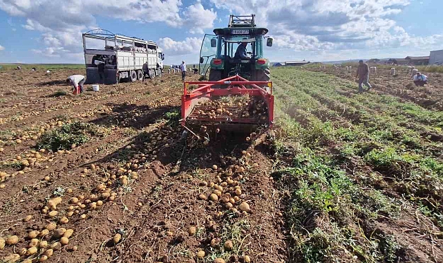 Bir çiftçi, tarlasından satamadığı patatesleri halka ücretsiz dağıttı