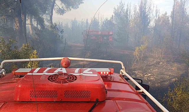 Çanakkale'de ziraat alanında başlayan ve ormanlık alana sıçrayan yangın kontrol altına alındı
