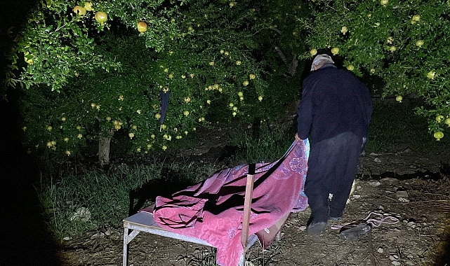 Çiftçilerin domuz nöbeti