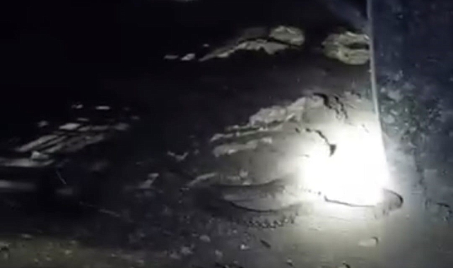 Elazığ'da 2 metrelik engerek yılanı görüntülendi
