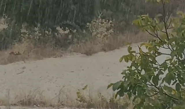 Elazığ'da etkisini arttıran yağış sele neden oldu